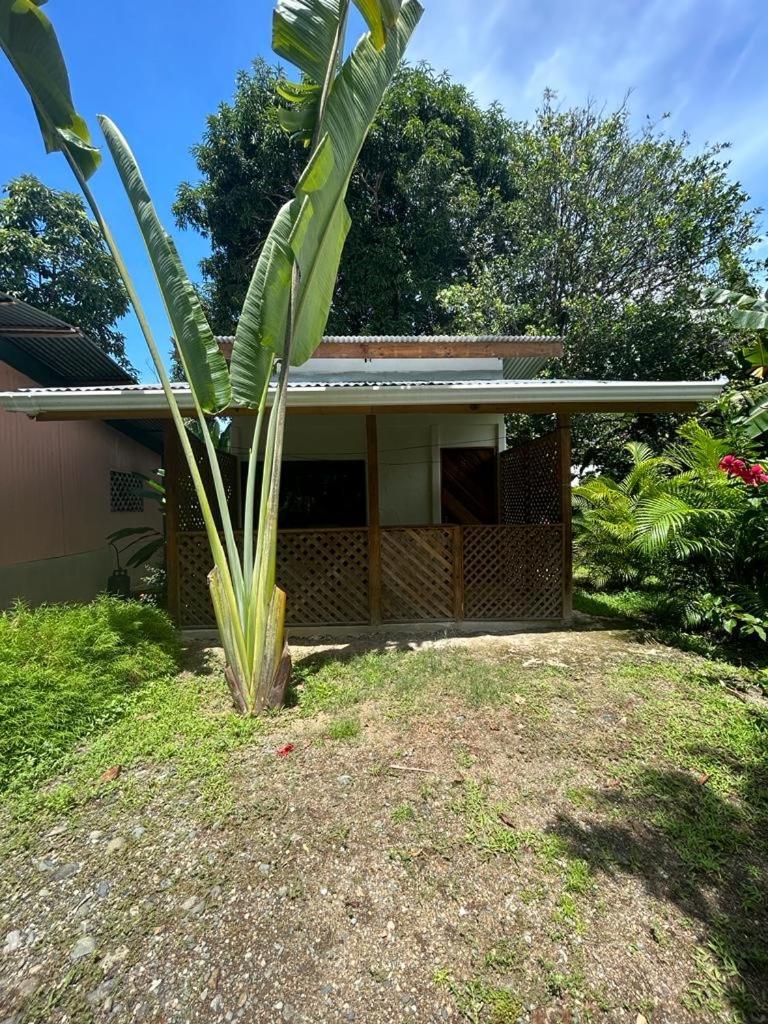 Ballena Oasis Homes Uvita Exterior foto